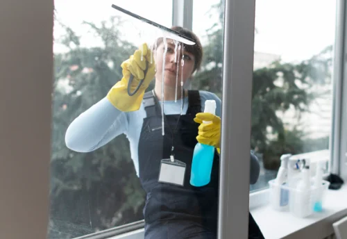Nettoyage de vitres intérieures et extérieures à Breuchotte